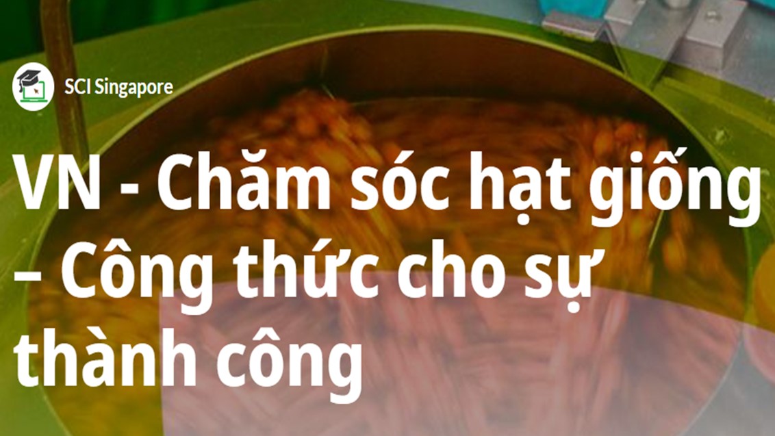 Chăm sóc hạt giống – Công thức cho sự thành công