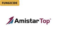amistar top logo