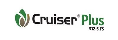 cruiser-plus-312.5fs-logo.jpg