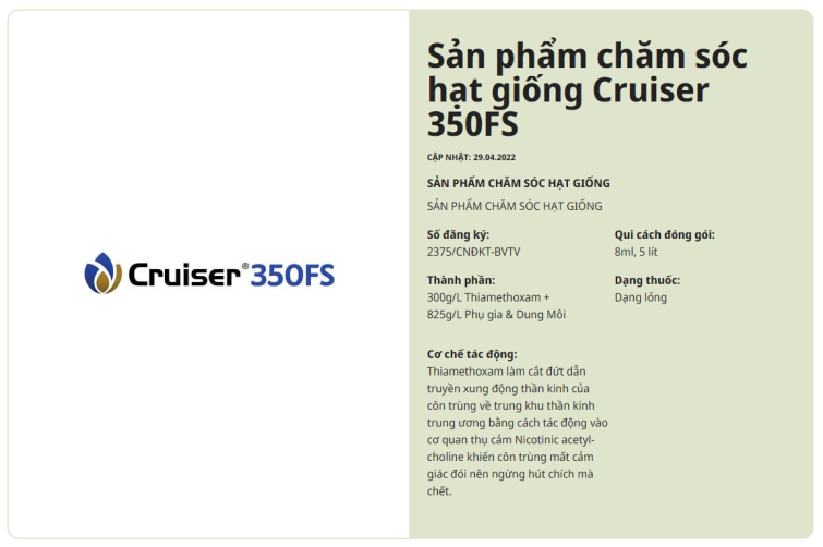 cruiser_vn