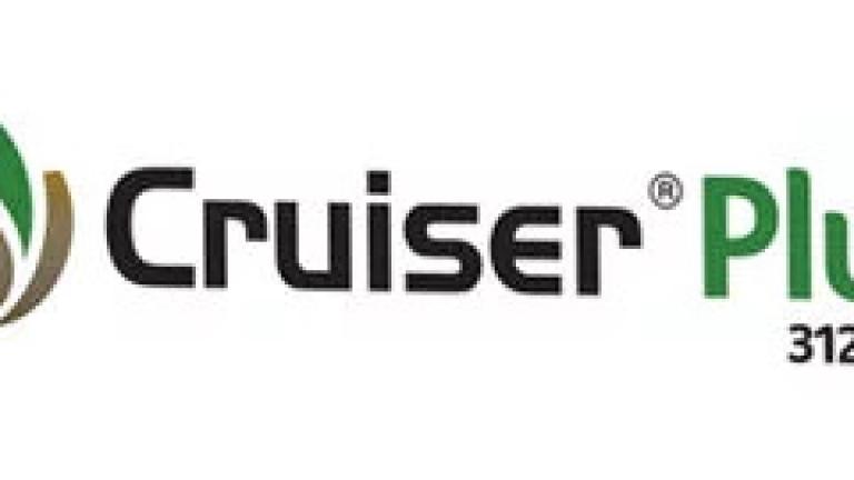 cruiser-plus-312.5fs-logo.jpg